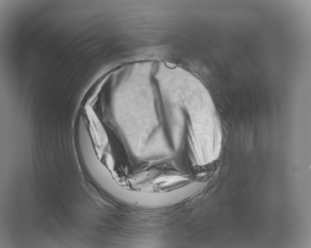 X0000070180100200606231957