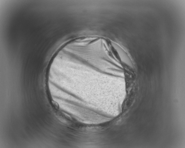 X0000070180103200606231957