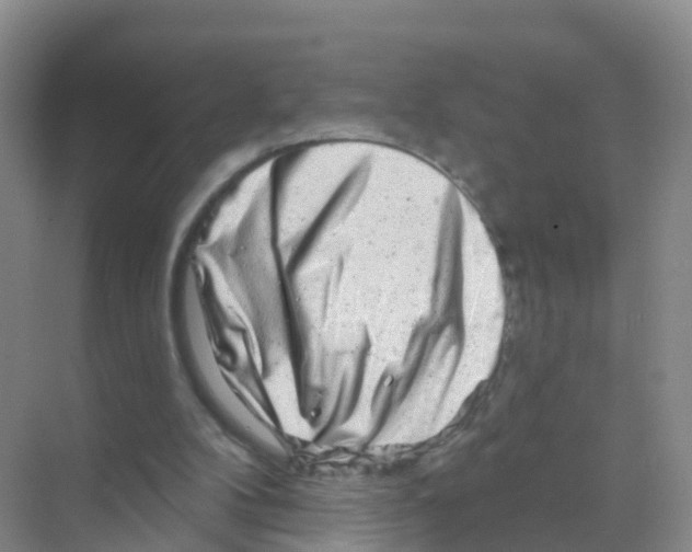X0000070180104200606231957