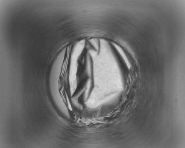 X0000070180105200606231957