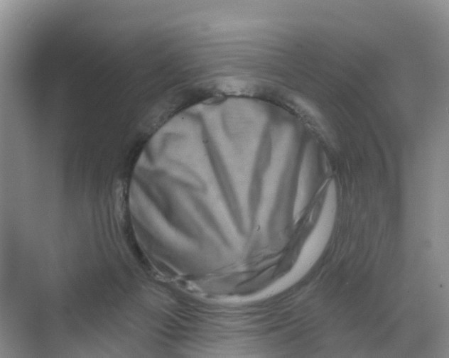 X0000070180121200606231957