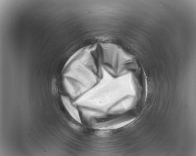 X0000070180136200606231956