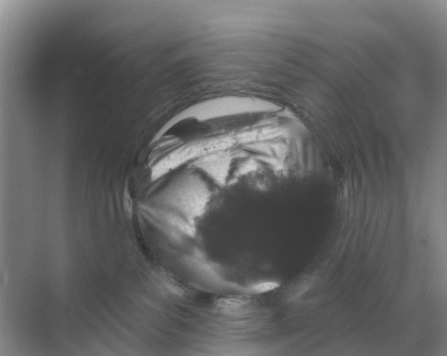 X0000070180139200606231956