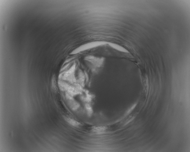 X0000070180143200606231956
