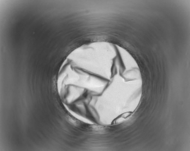 X0000070180144200606231956