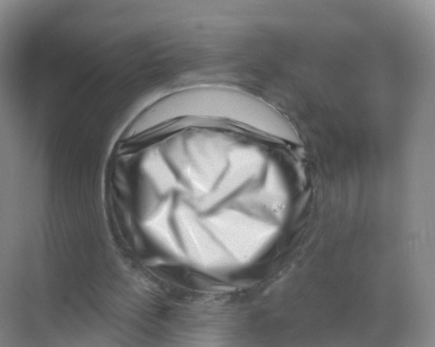 X0000070180148200606231955