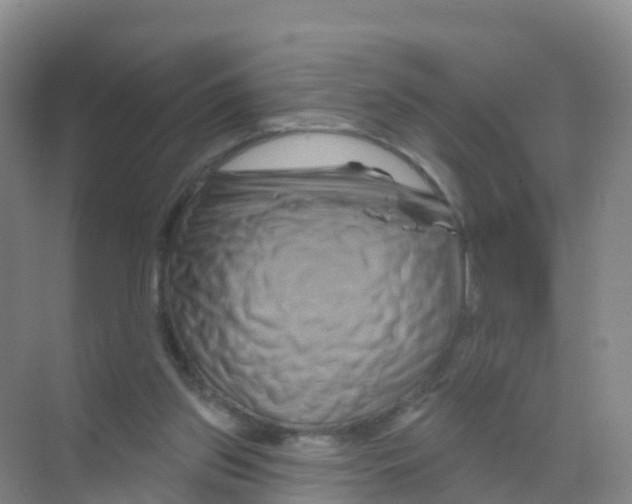 X0000070180157200606231956