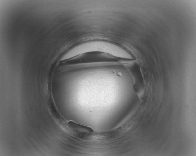 X0000070180158200606231956