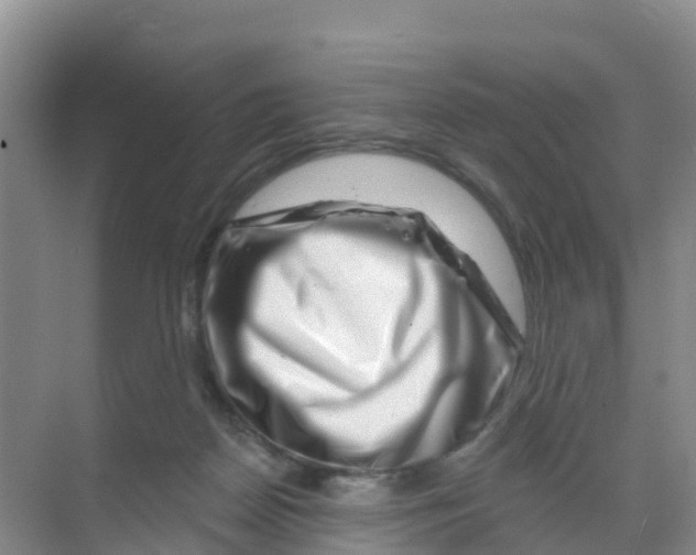 X0000070180170200606231956