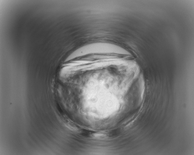 X0000070180171200606231956