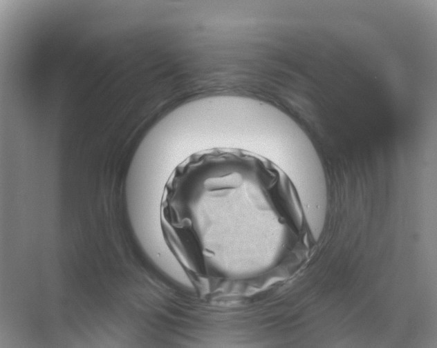 X0000070180172200606231956