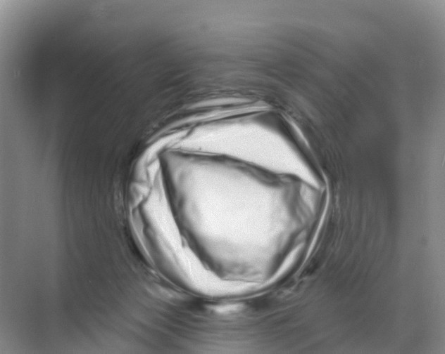 X0000070180173200606231956