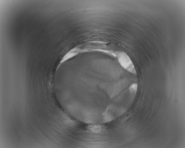 X0000070180181200606231956