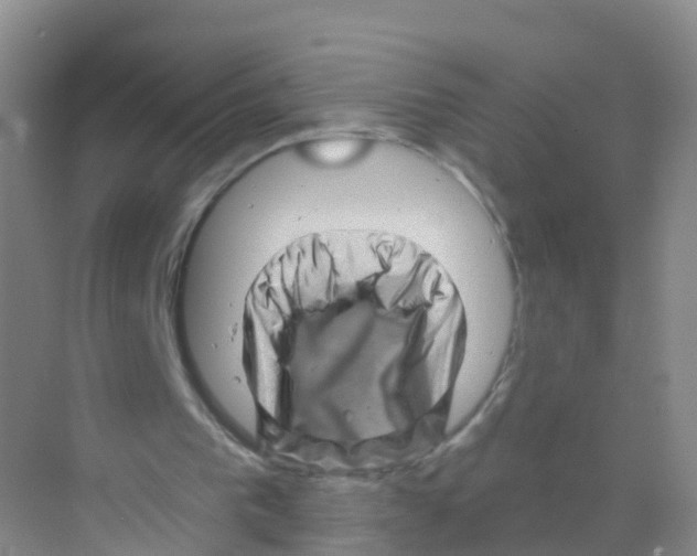 X0000070180193200606231955