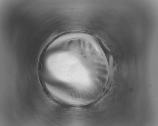X0000070180195200606231955