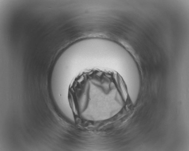 X0000070180201200606231955