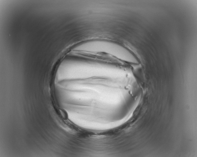 X0000070180203200606231955