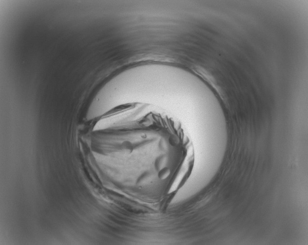 X0000070180205200606231955
