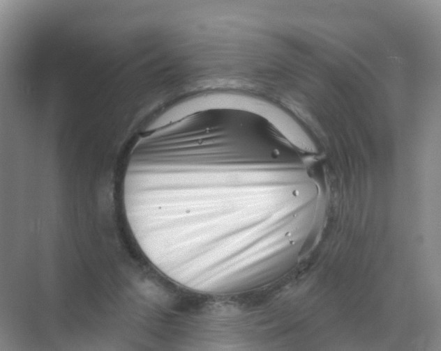 X0000070180207200606231955
