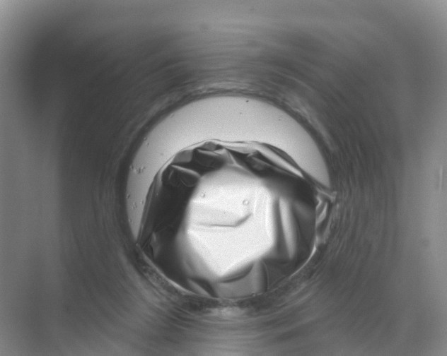 X0000070180212200606231955