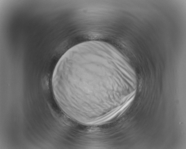 X0000070180214200606231955