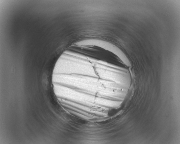 X0000070180215200606231955