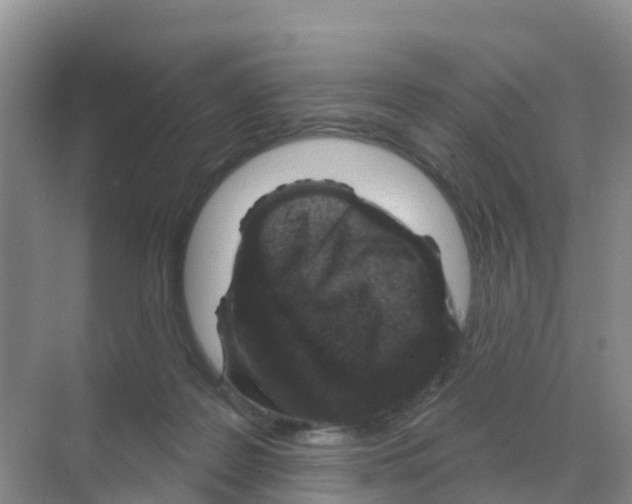 X0000070180219200606231955