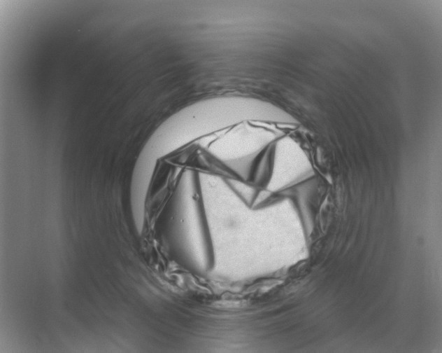 X0000070180225200606231955