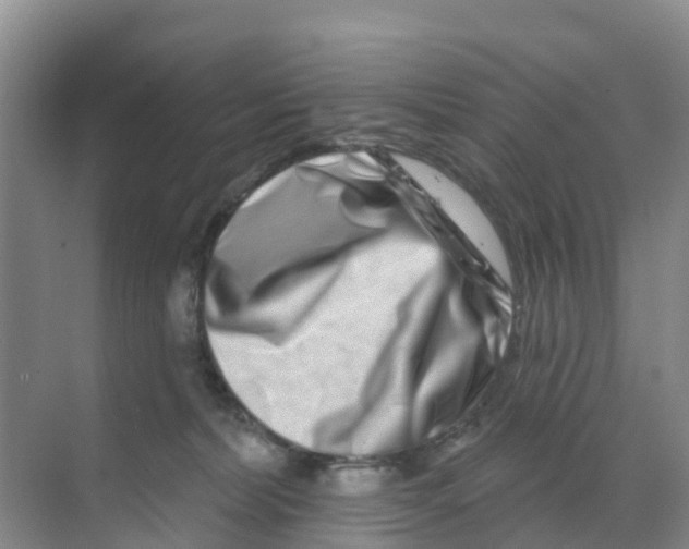 X0000070180228200606231955