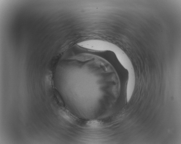 X0000070180231200606231955