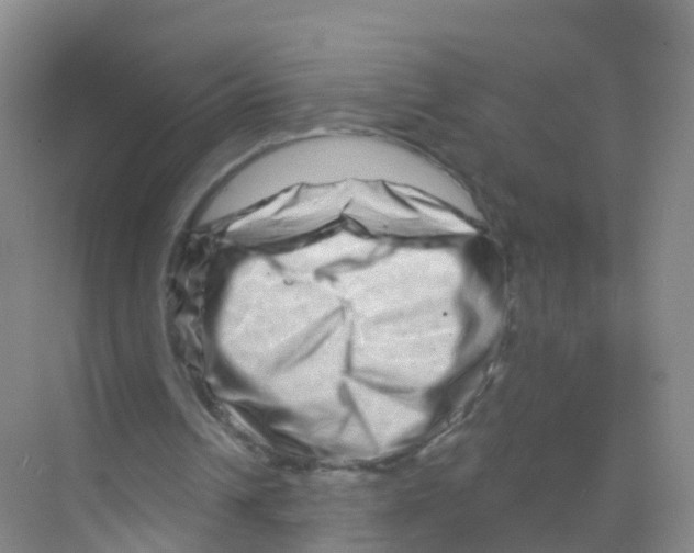 X0000070180242200606231954