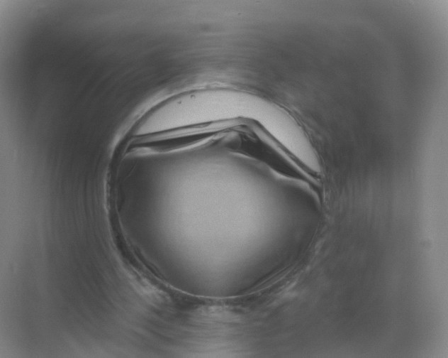 X0000070180244200606231954