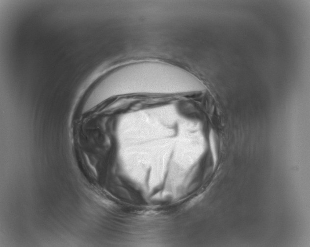 X0000070180246200606231954