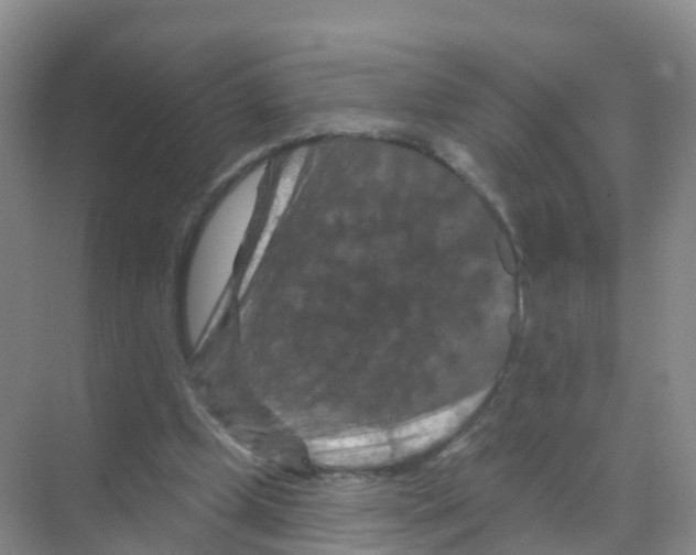 X0000070180249200606231954