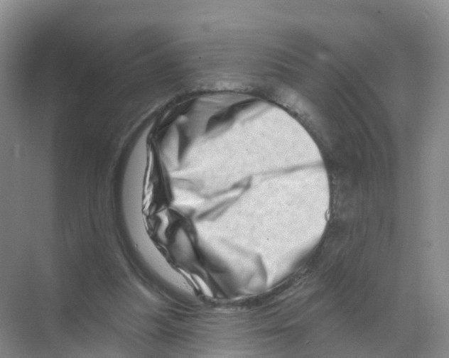 X0000070180251200606231954