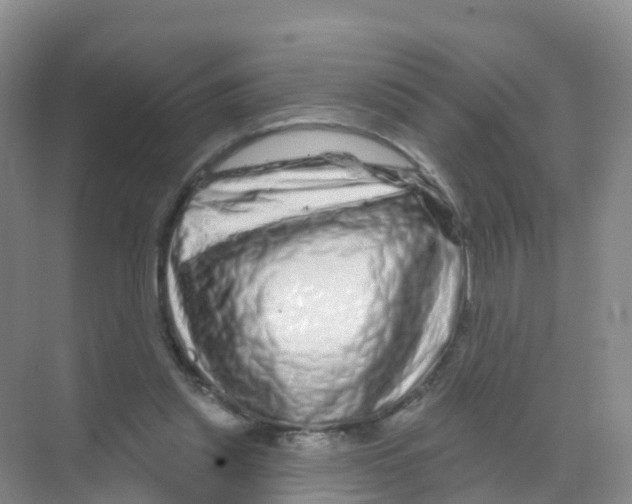 X0000070180253200606231954