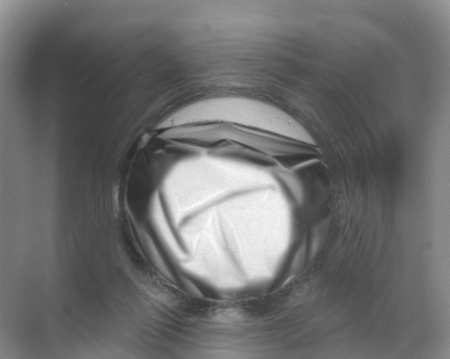 X0000070180262200606231954