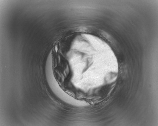 X0000070180265200606231954