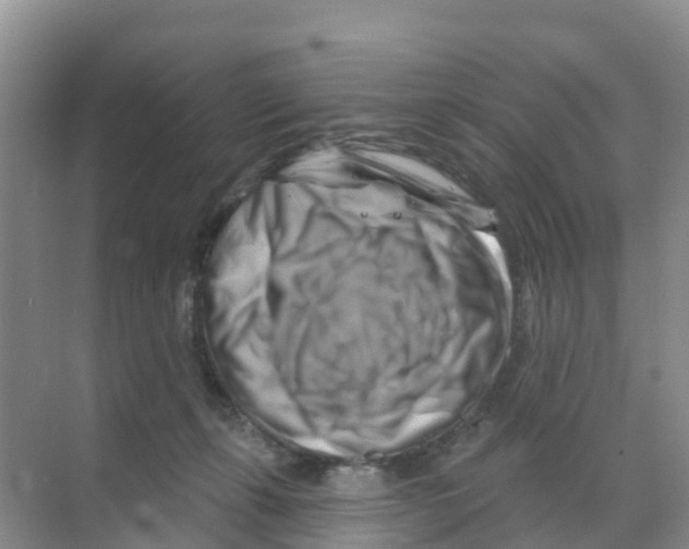 X0000070180271200606231954