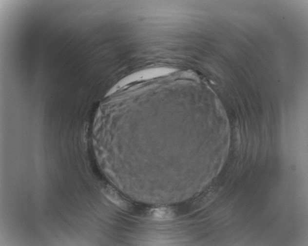 X0000070180275200606231954