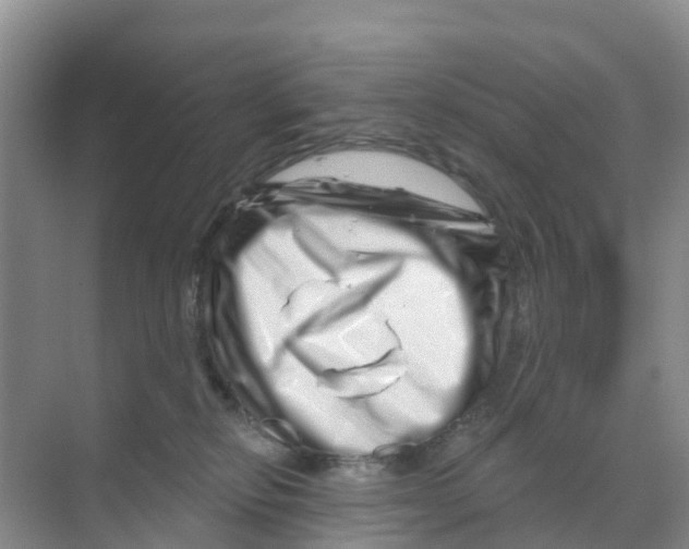 X0000070180278200606231954