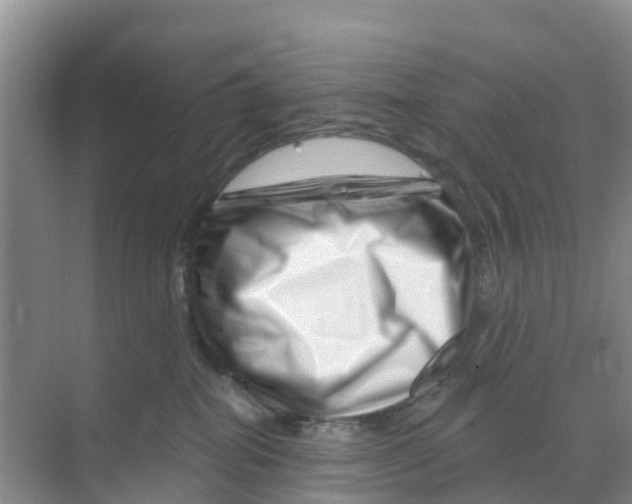 X0000070180282200606231954