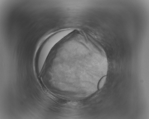 X0000070180294200606231954