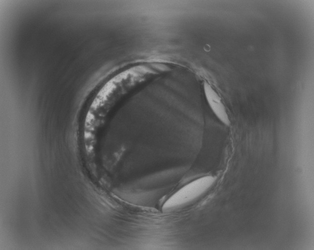 X0000070180295200606231954