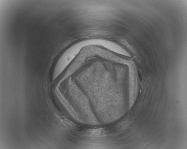 X0000070180306200606231953