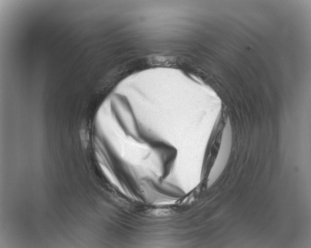 X0000070180324200606231953