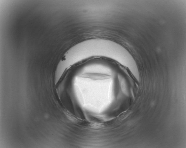 X0000070180333200606231953