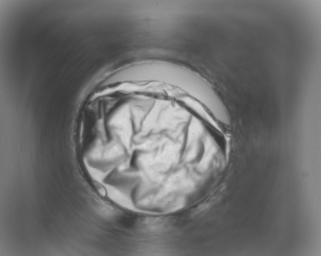X0000070180341200606231952