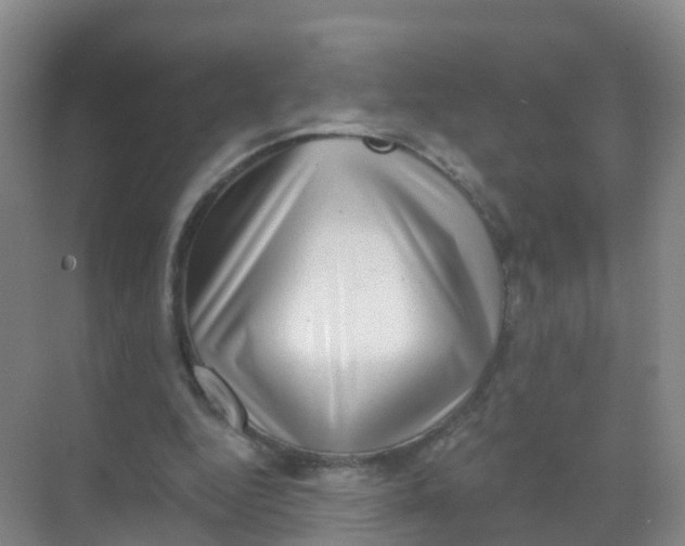 X0000070180344200606231952
