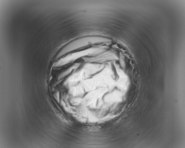X0000070180345200606231952